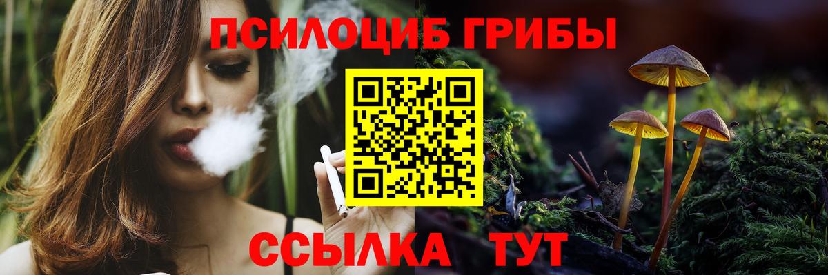 Псилоцибиновые грибы мицелий  Вход с VPN  сколько стоит  Новочебоксарск 